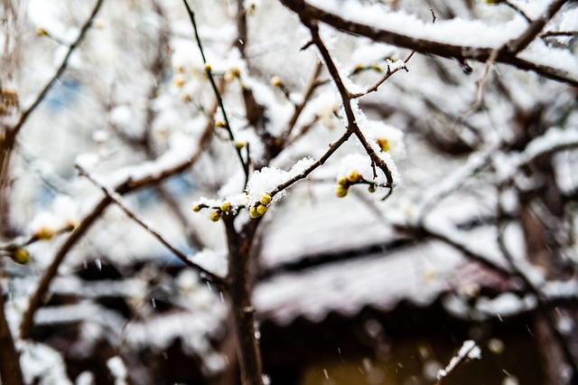 师常常解读